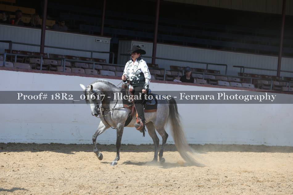 Proof 18R2_01617