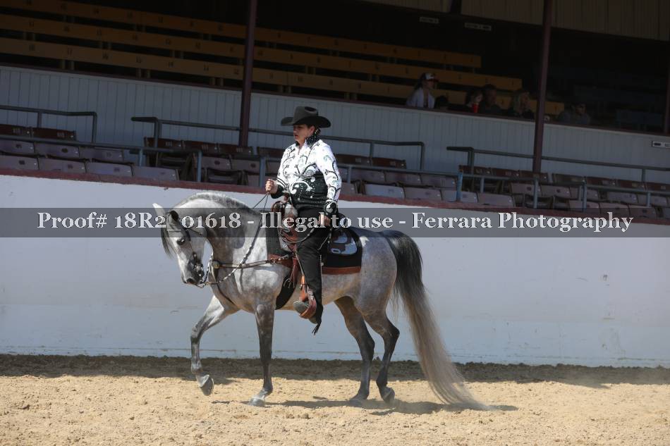 Proof 18R2_01618