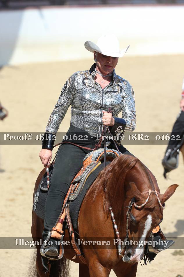 Proof 18R2_01622