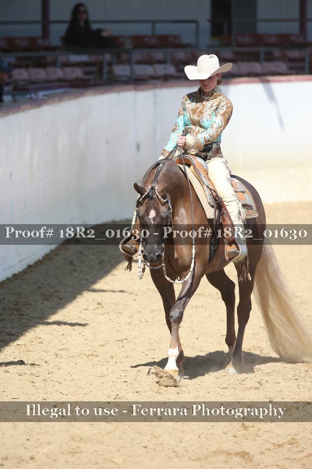 Proof 18R2_01630