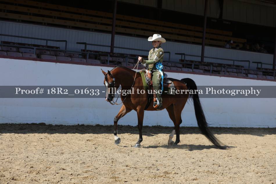 Proof 18R2_01633
