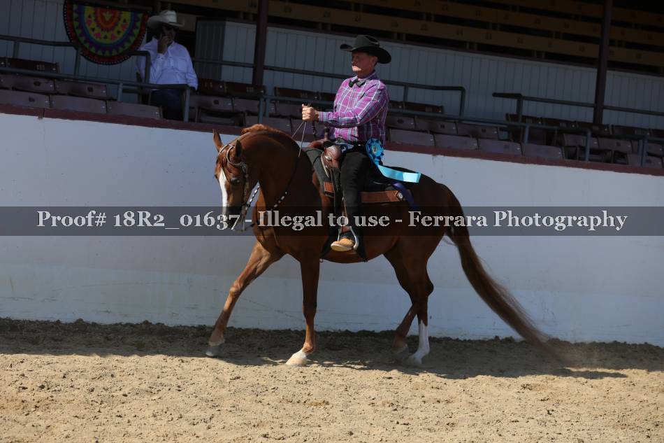 Proof 18R2_01637