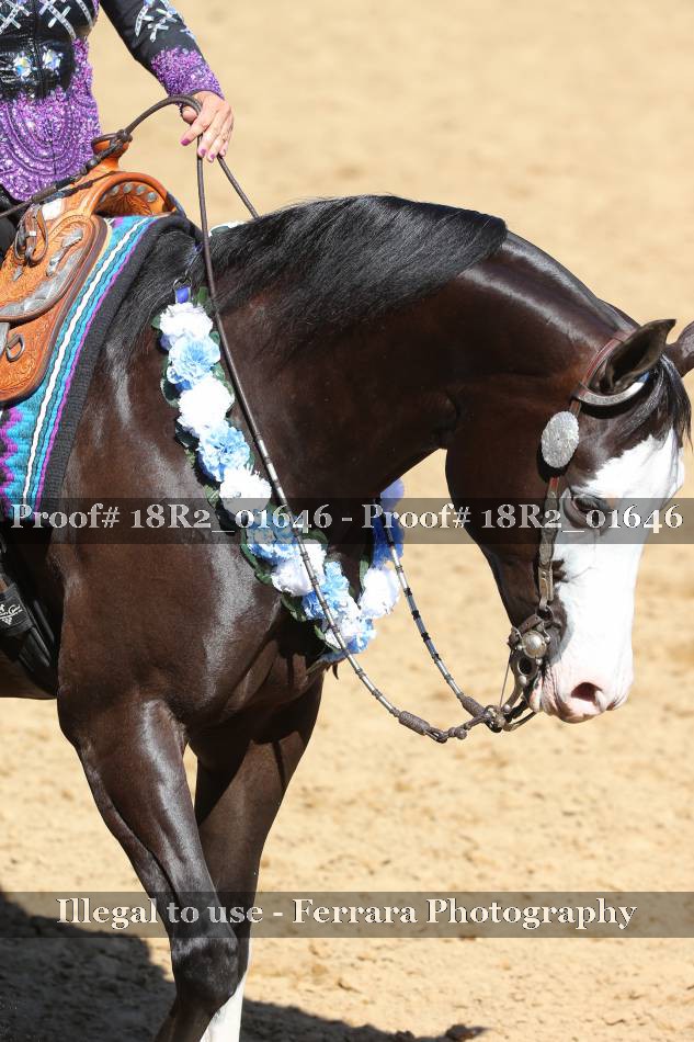Proof 18R2_01646