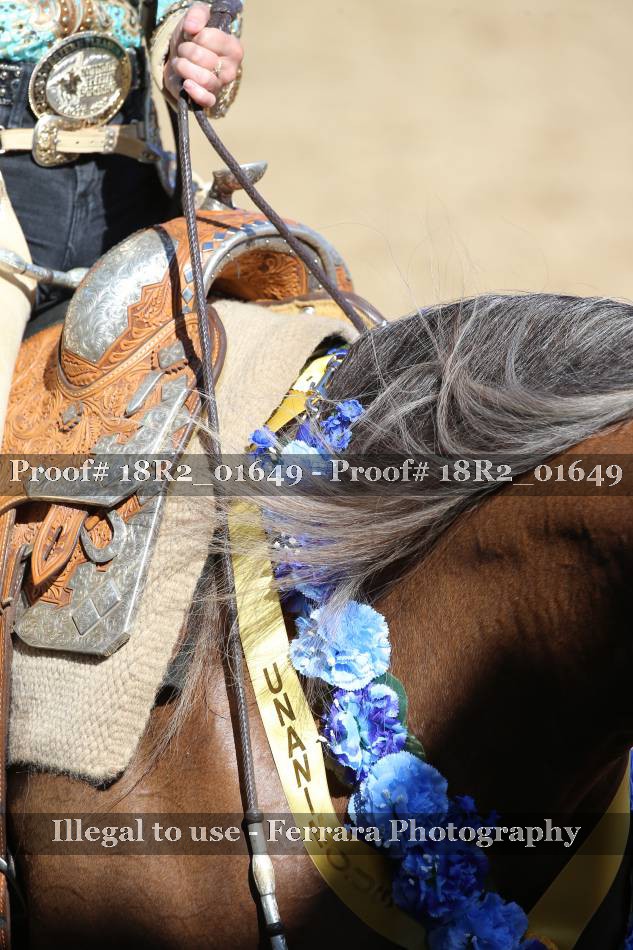 Proof 18R2_01649