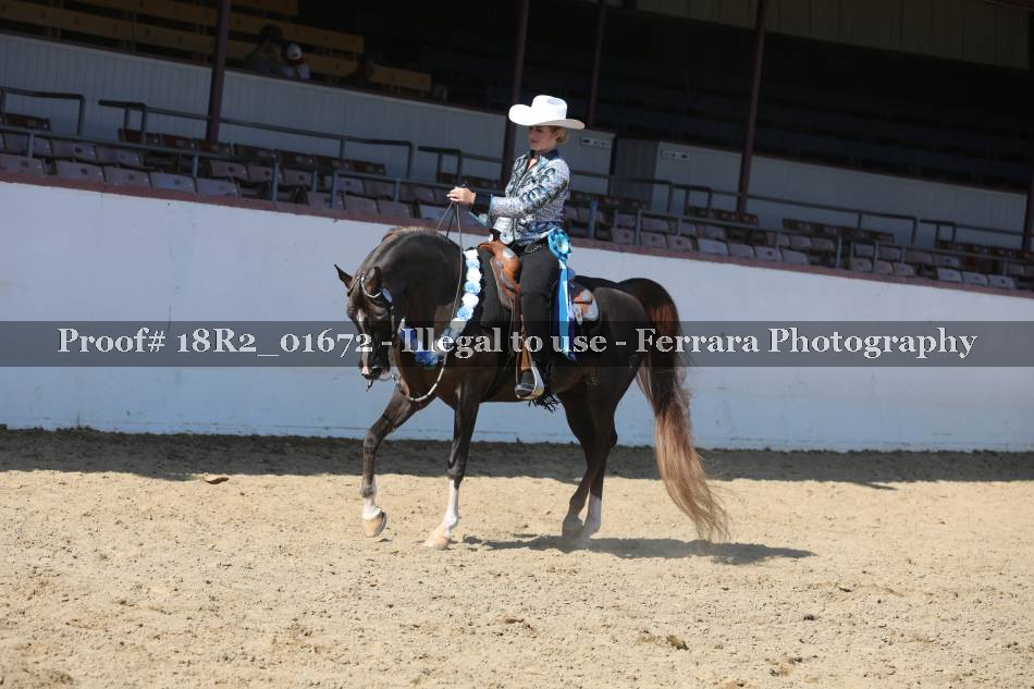 Proof 18R2_01672