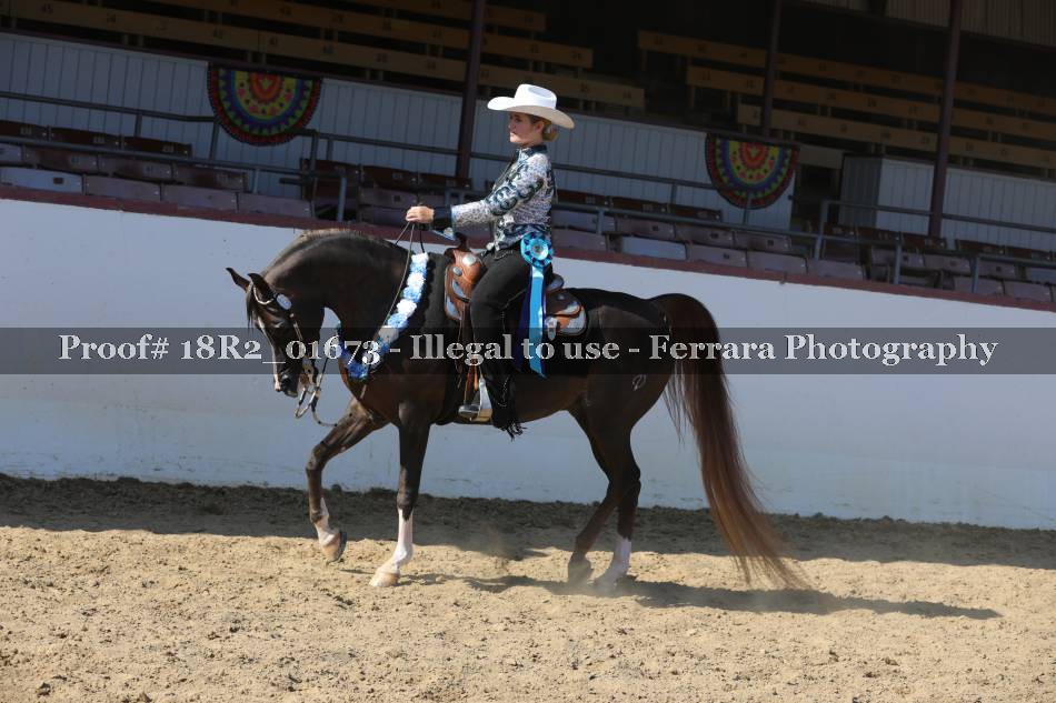 Proof 18R2_01673