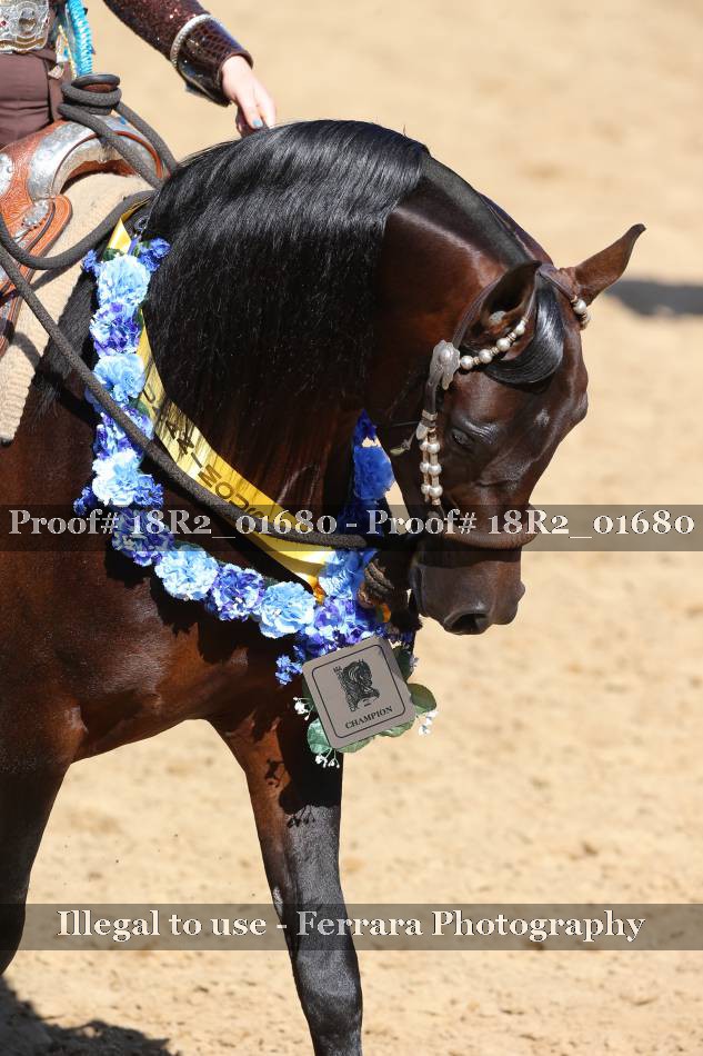 Proof 18R2_01680