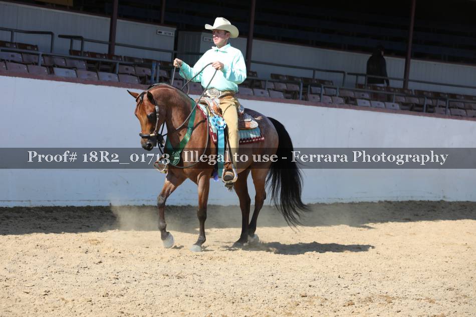 Proof 18R2_01713