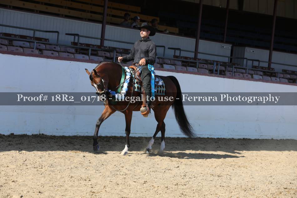 Proof 18R2_01718