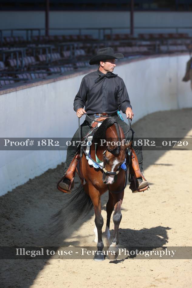 Proof 18R2_01720