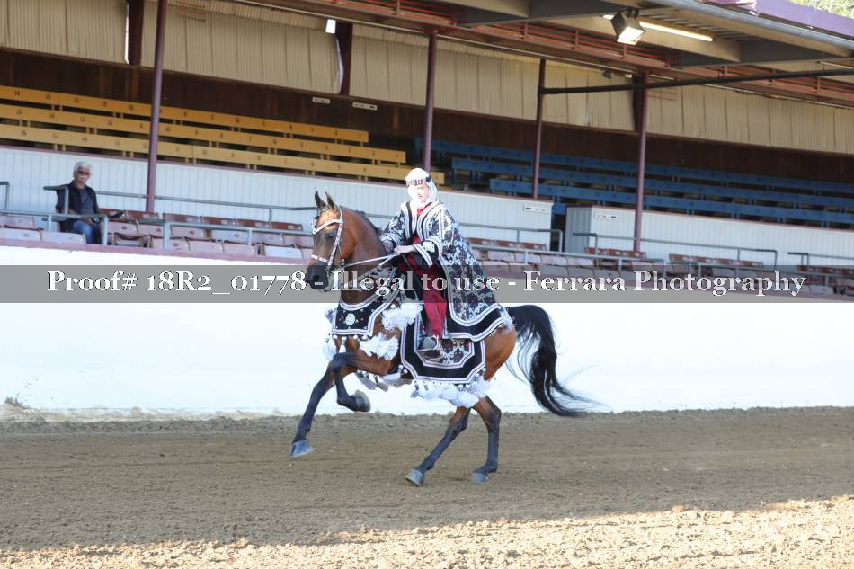Proof 18R2_01778