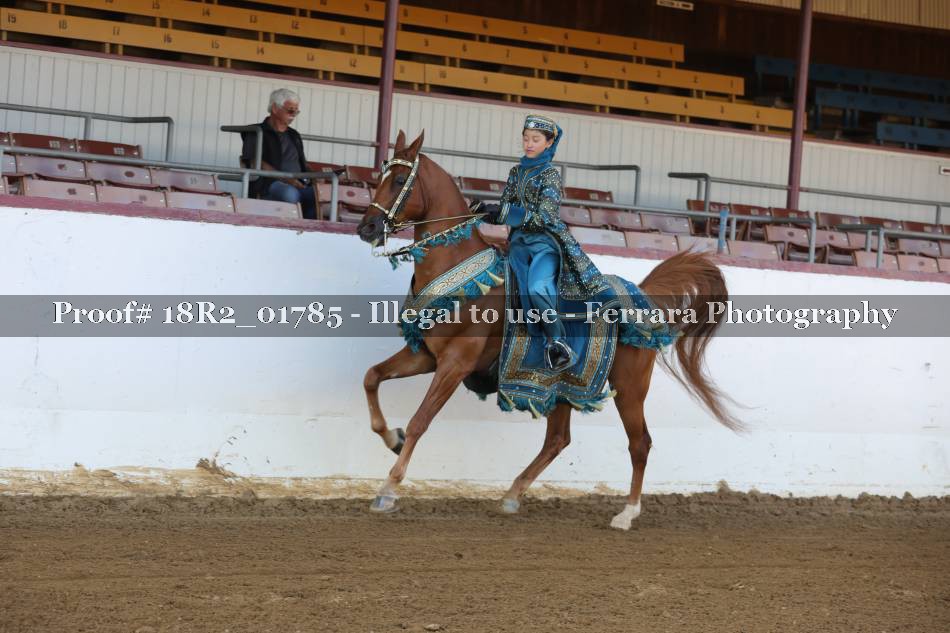 Proof 18R2_01785