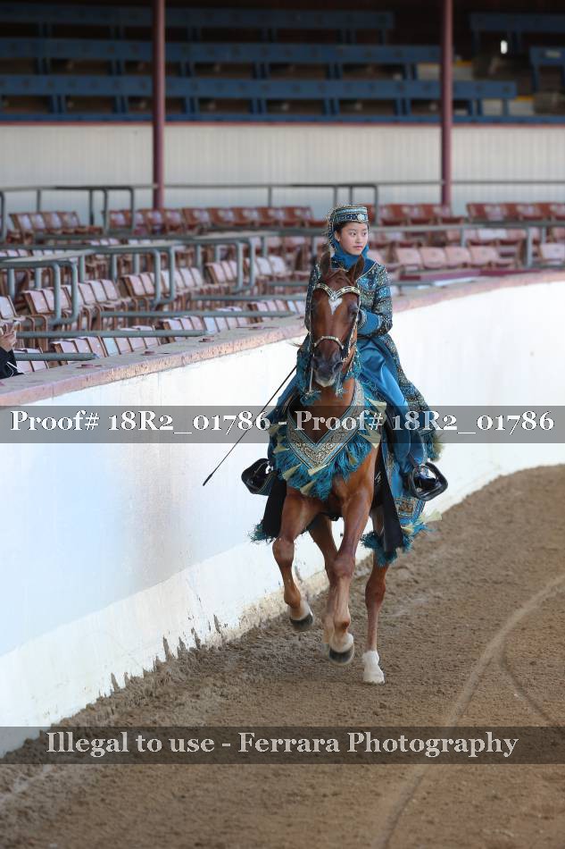 Proof 18R2_01786