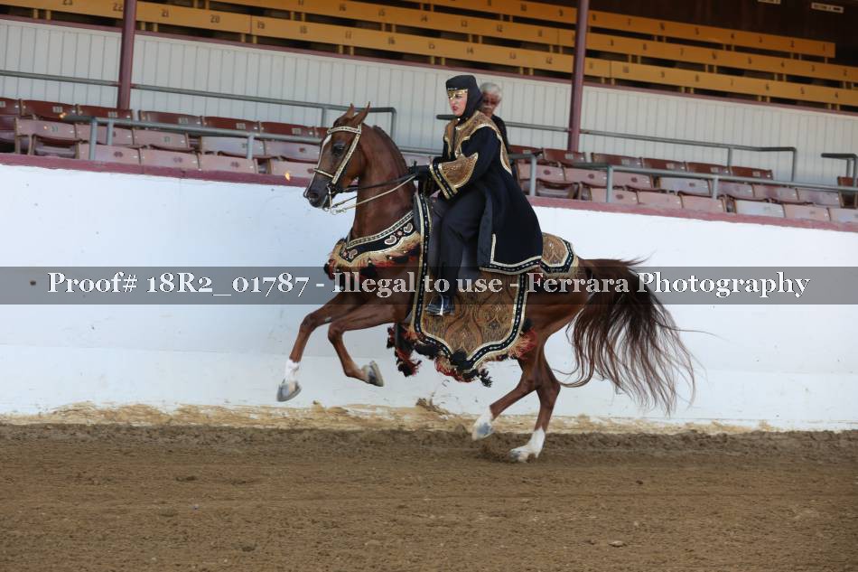 Proof 18R2_01787