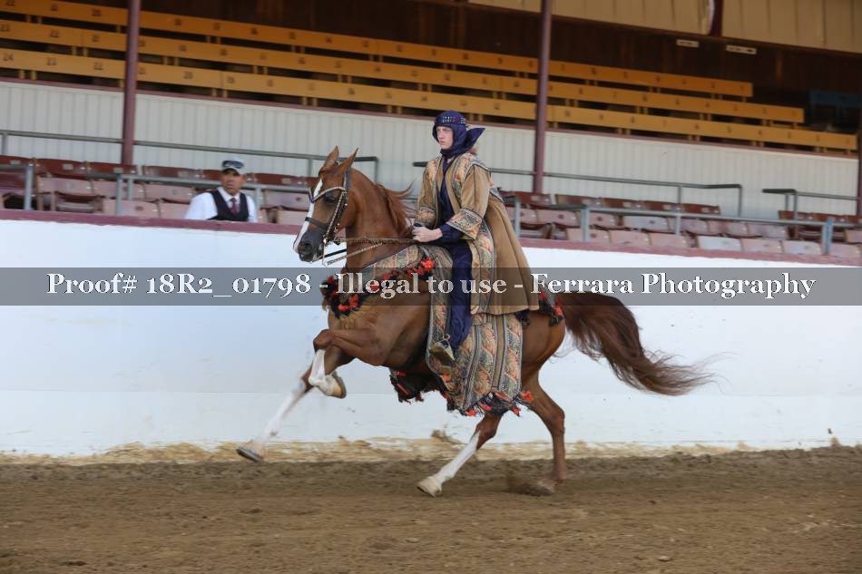 Proof 18R2_01798