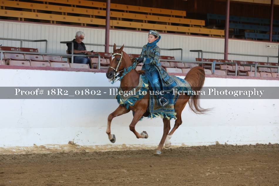 Proof 18R2_01802