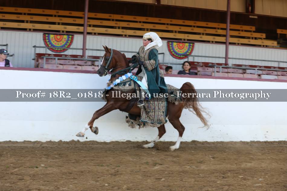 Proof 18R2_01818