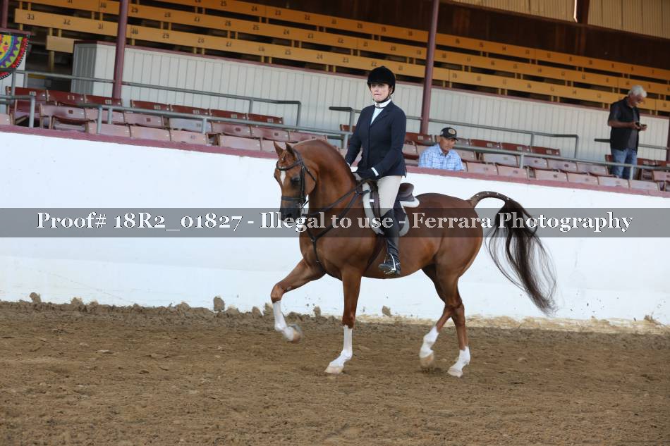 Proof 18R2_01827