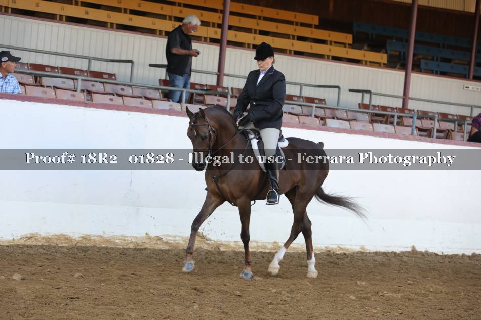 Proof 18R2_01828