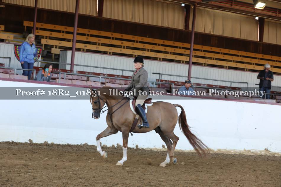 Proof 18R2_01831