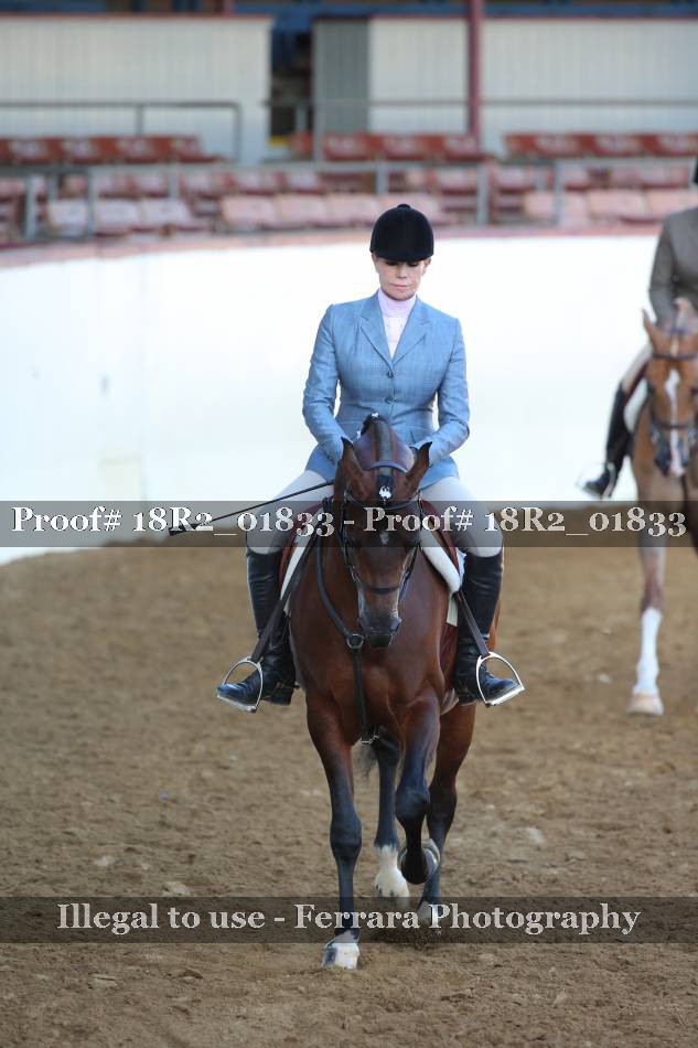 Proof 18R2_01833