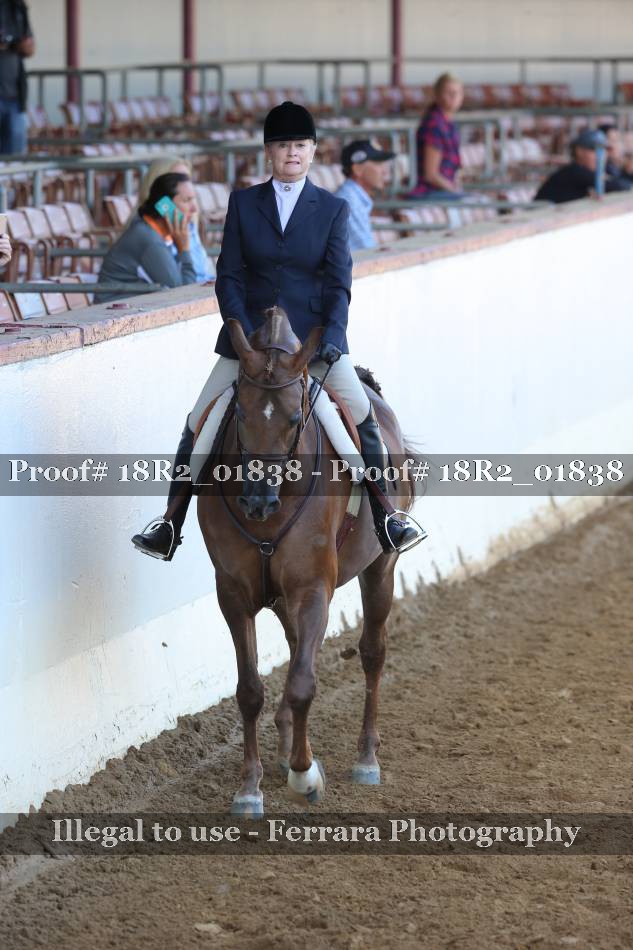 Proof 18R2_01838