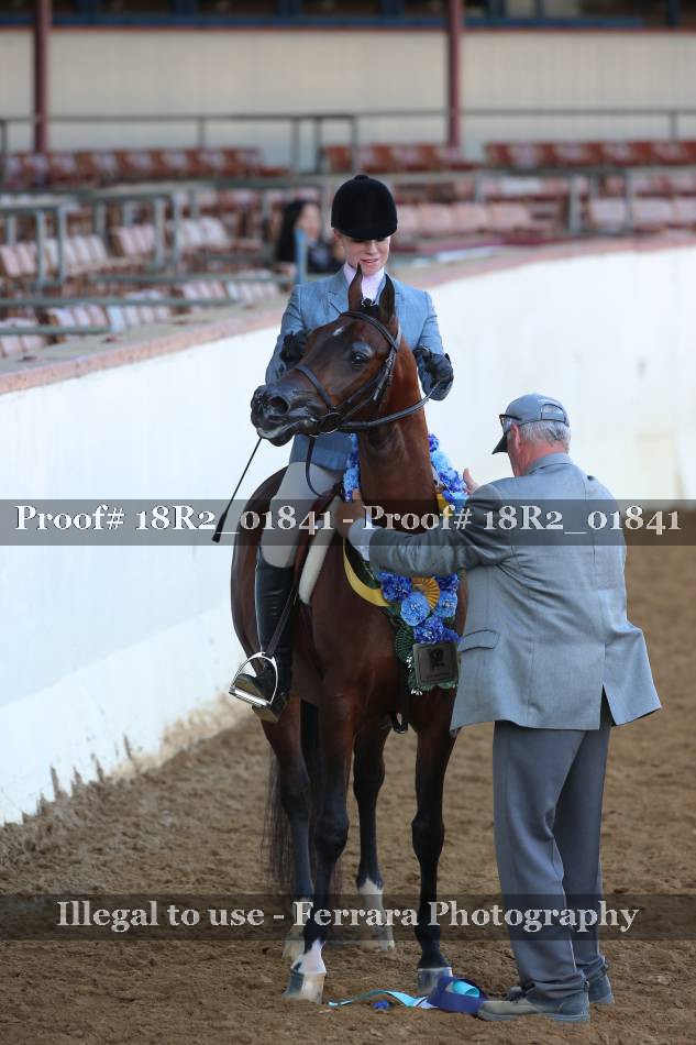 Proof 18R2_01841