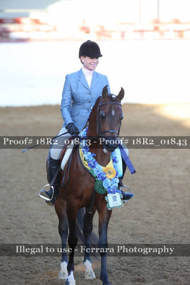 Proof 18R2_01843
