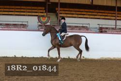 18R2_01844 proof