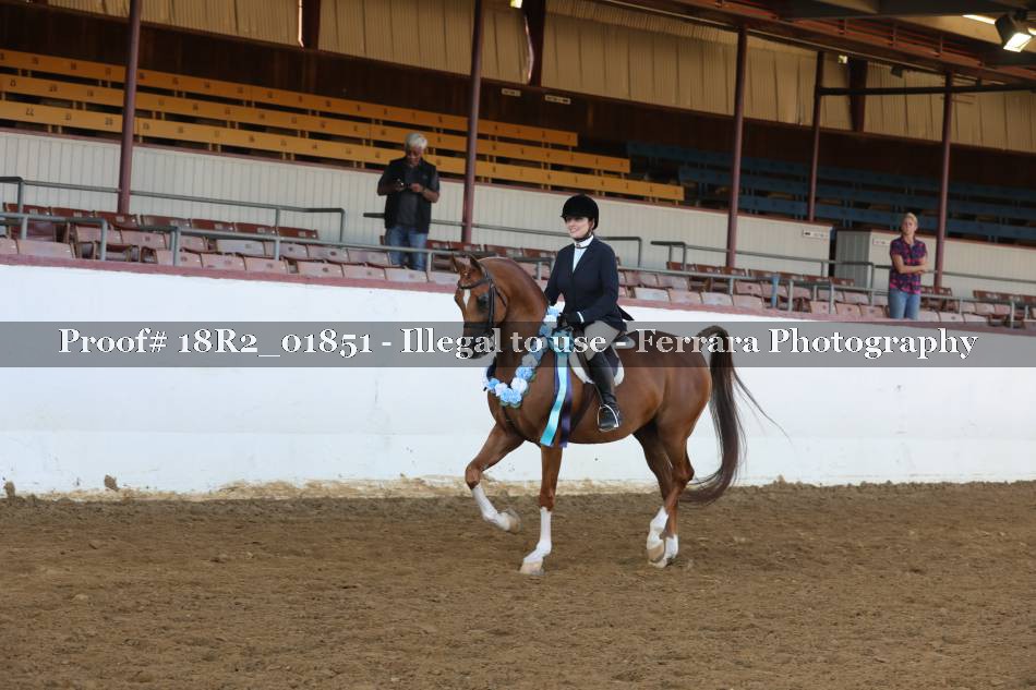 Proof 18R2_01851