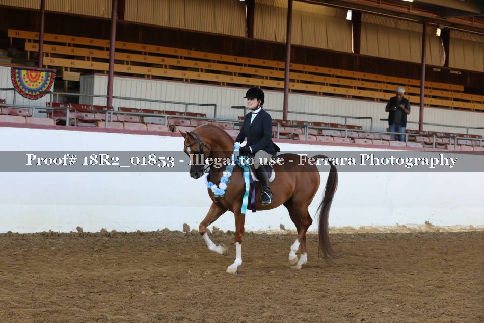 Proof 18R2_01853