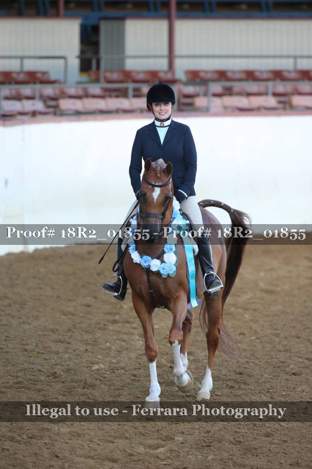 Proof 18R2_01855
