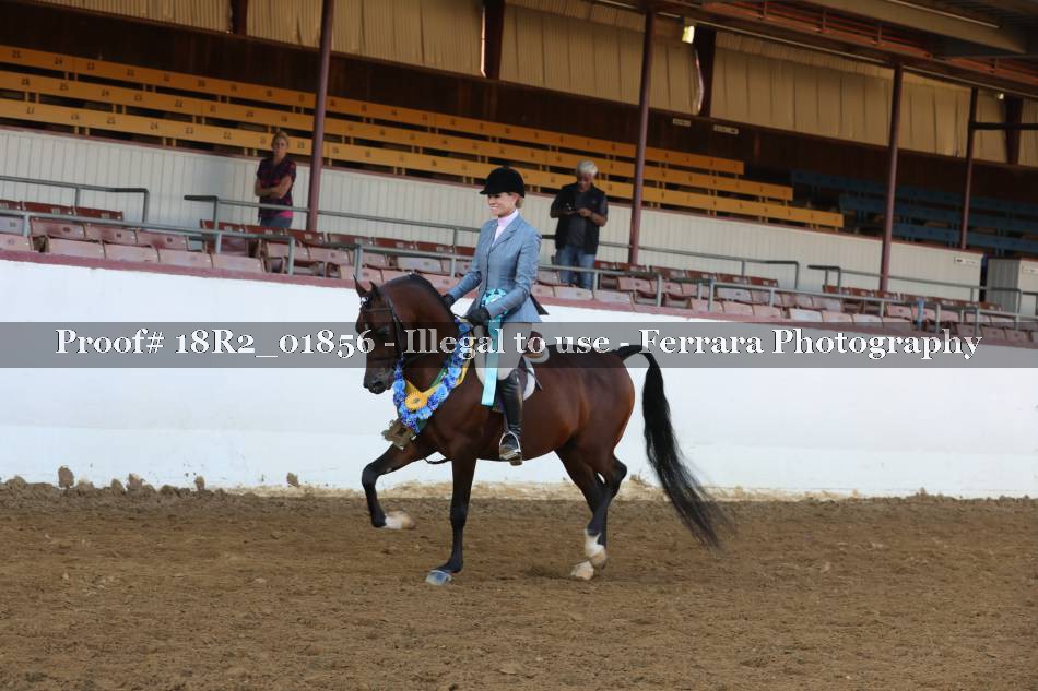 Proof 18R2_01856