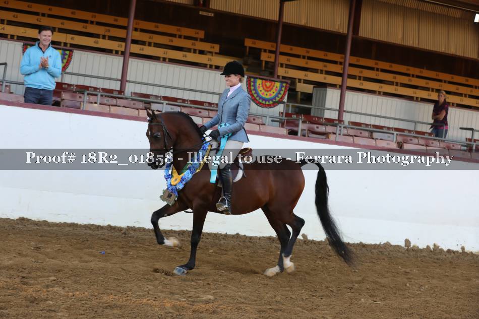 Proof 18R2_01858