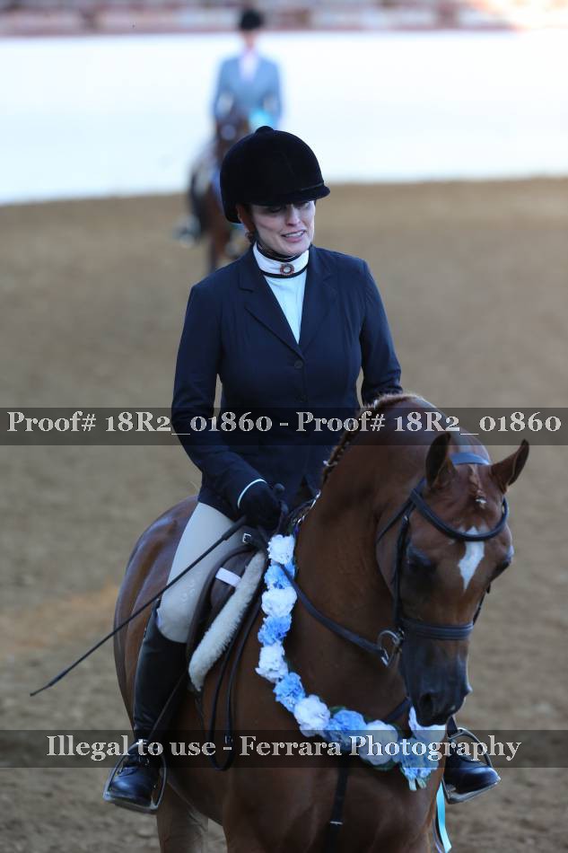 Proof 18R2_01860