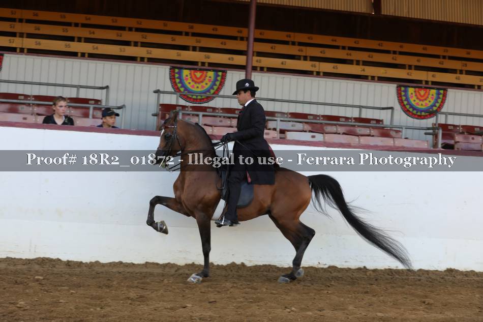 Proof 18R2_01872