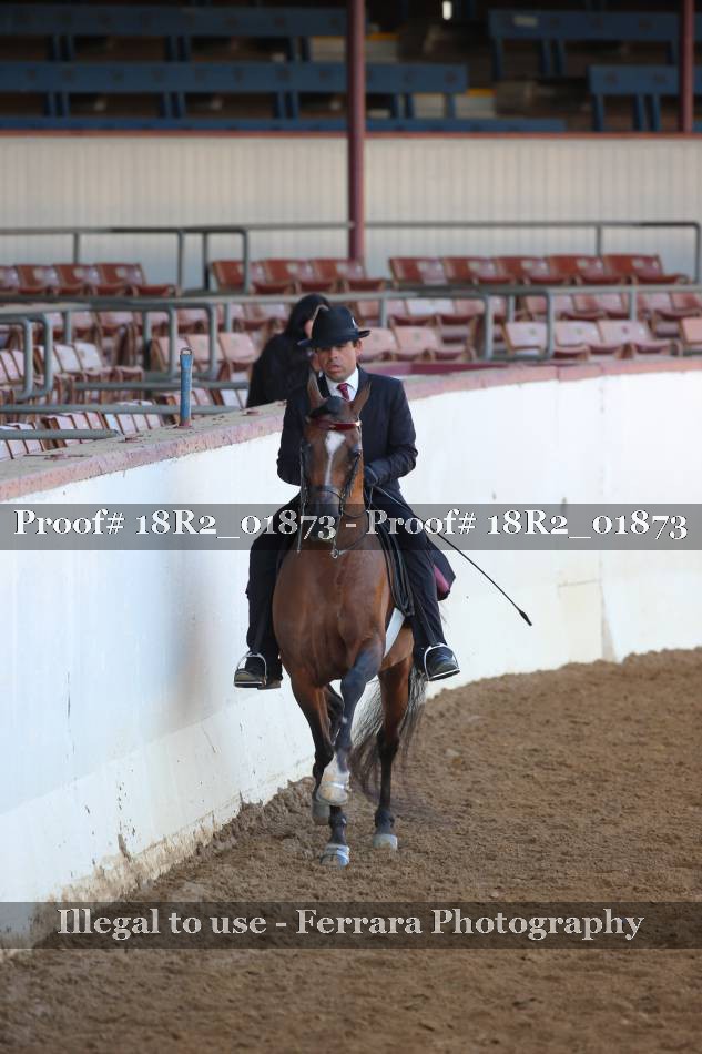 Proof 18R2_01873