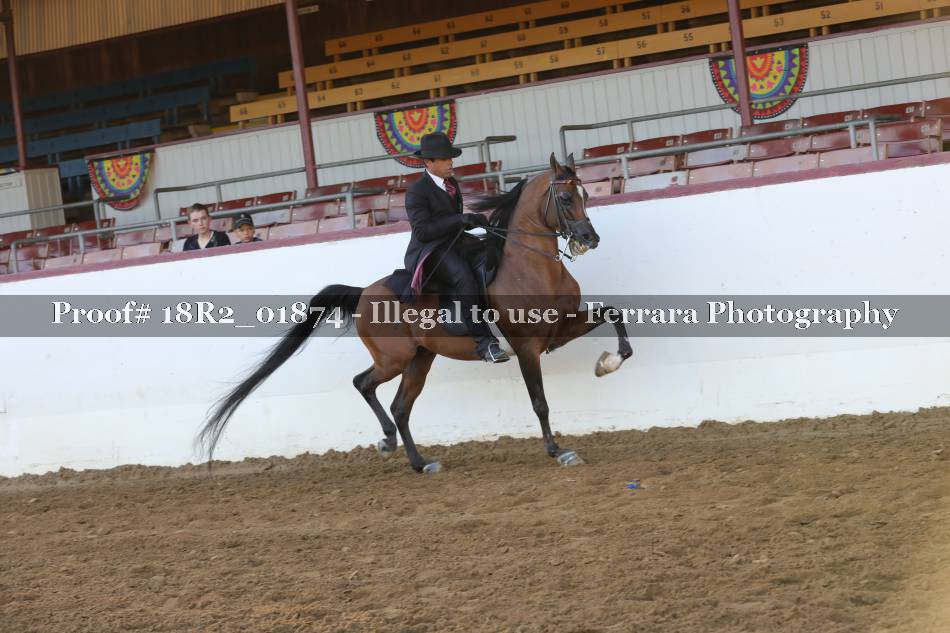 Proof 18R2_01874