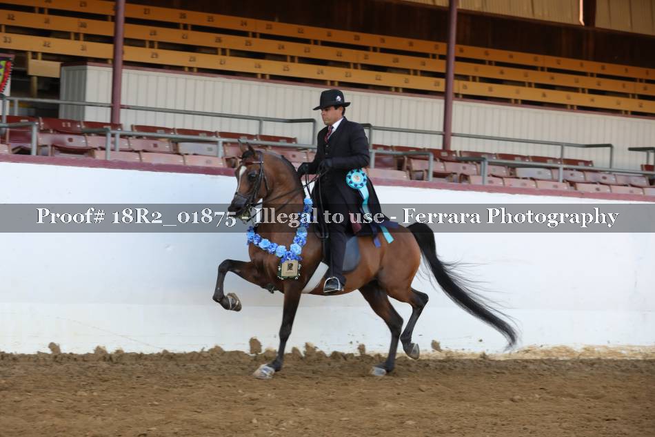 Proof 18R2_01875