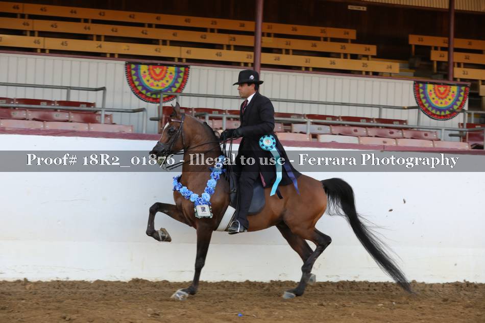 Proof 18R2_01876