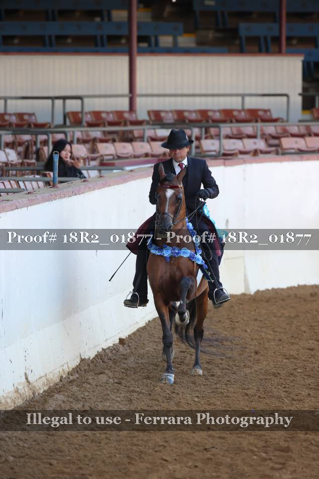 Proof 18R2_01877