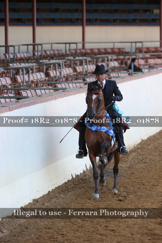 Proof 18R2_01878