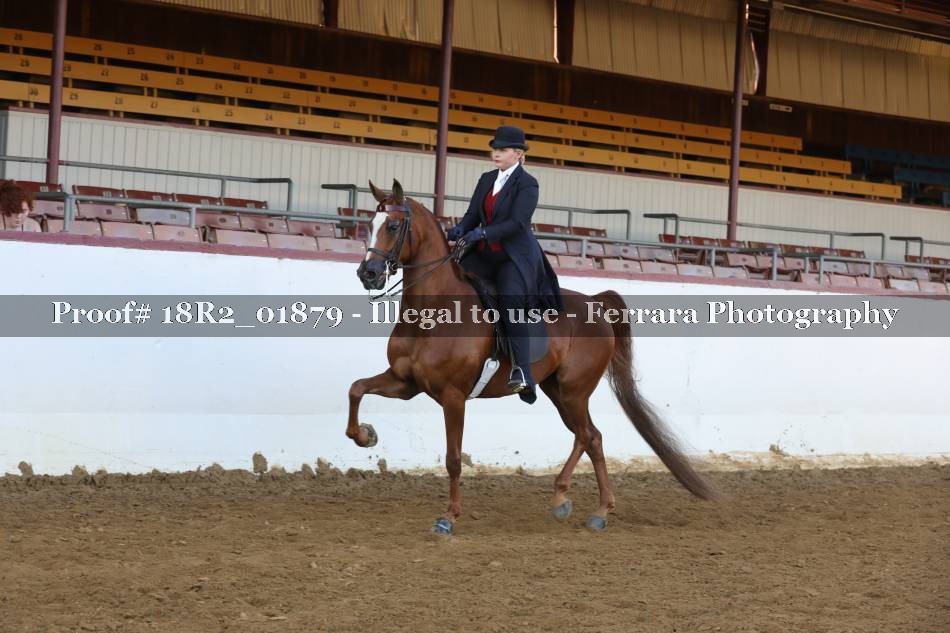 Proof 18R2_01879