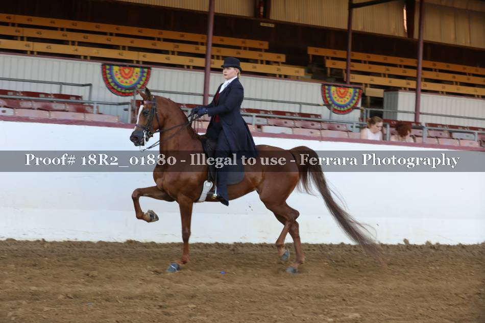 Proof 18R2_01880