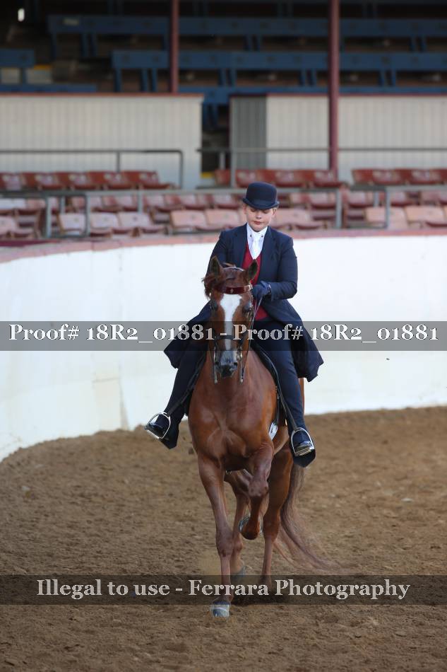 Proof 18R2_01881