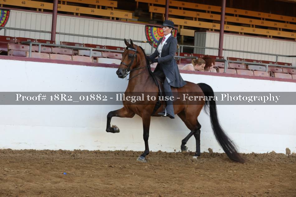 Proof 18R2_01882