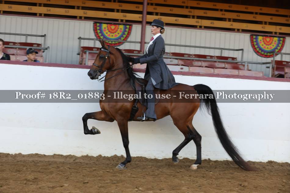 Proof 18R2_01883