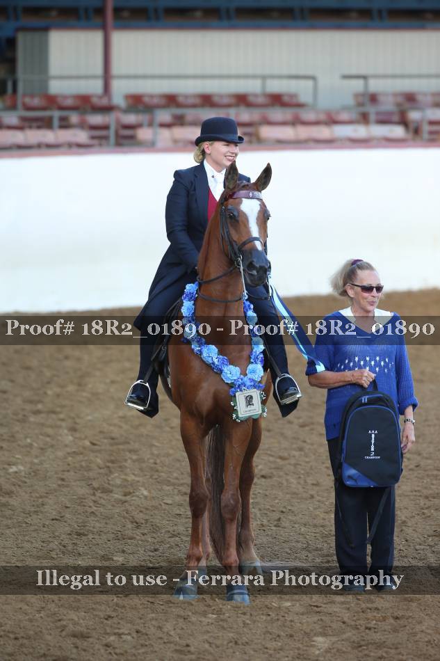 Proof 18R2_01890