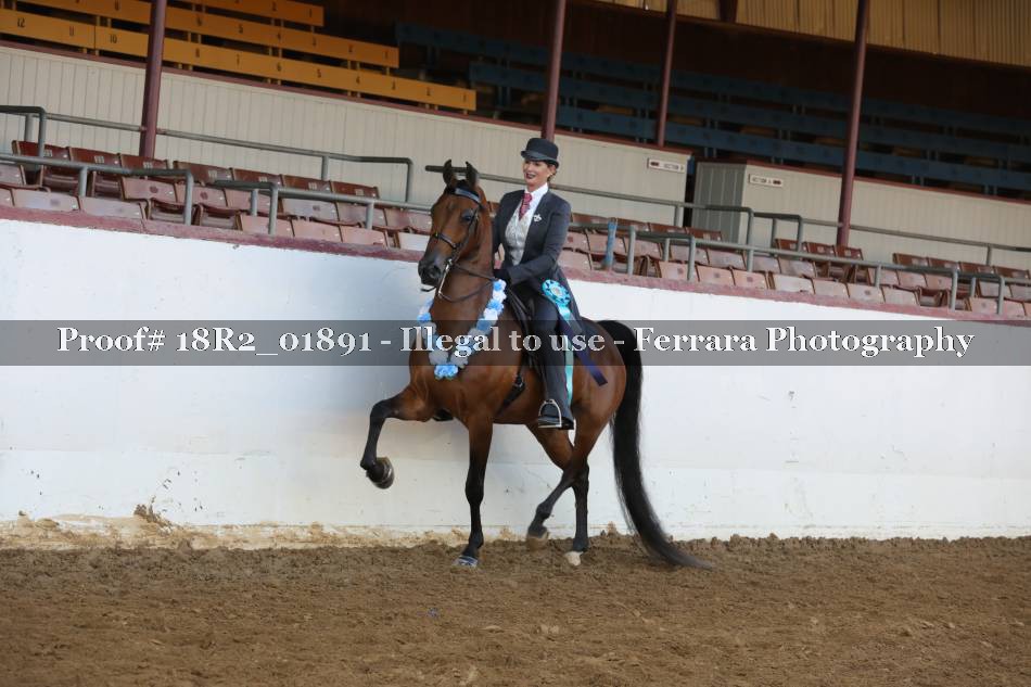 Proof 18R2_01891