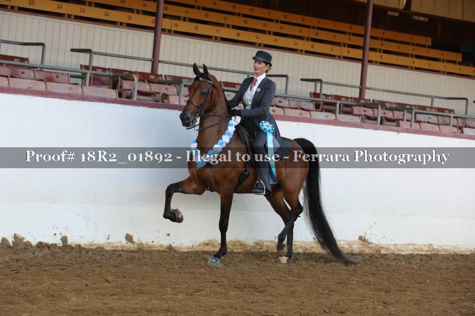 Proof 18R2_01892